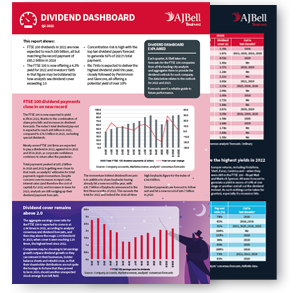 Dividend dashboard preview